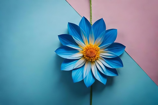 A blue and yellow flower is placed on a pink and blue background