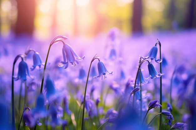 Bluebell Bliss Een veld van levendige blauwe bloesems De symfonie van de natuur in azuurblauwe tinten