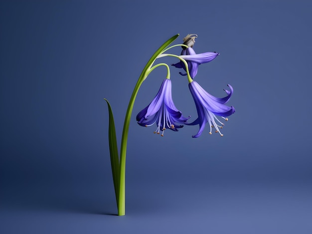 Bluebell bloem in de achtergrond van de studio enkele bluebell blom Mooie bloem ai gegenereerde afbeelding