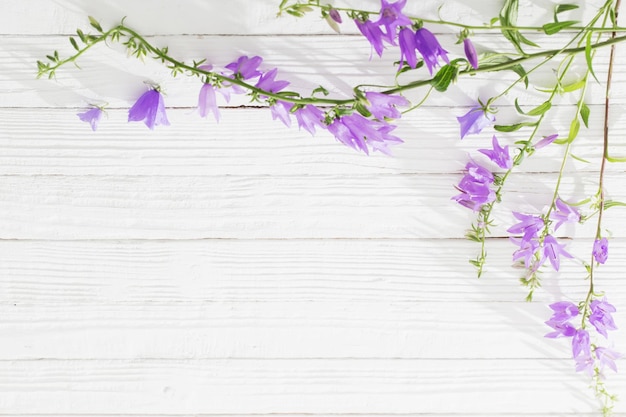 Bluebell bloemen op witte houten achtergrond