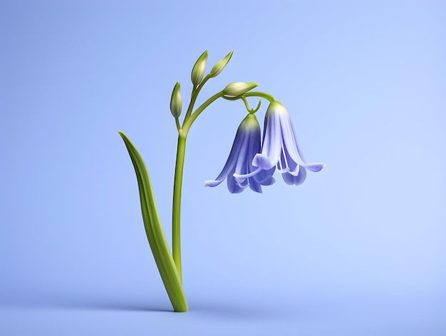 Foto fiore di campana blu sullo sfondo dello studio fiore di campanella blu singolo bellissimo fiore ai immagine generata