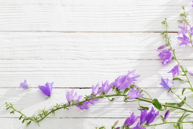 Foto fiori di campanula su fondo di legno bianco