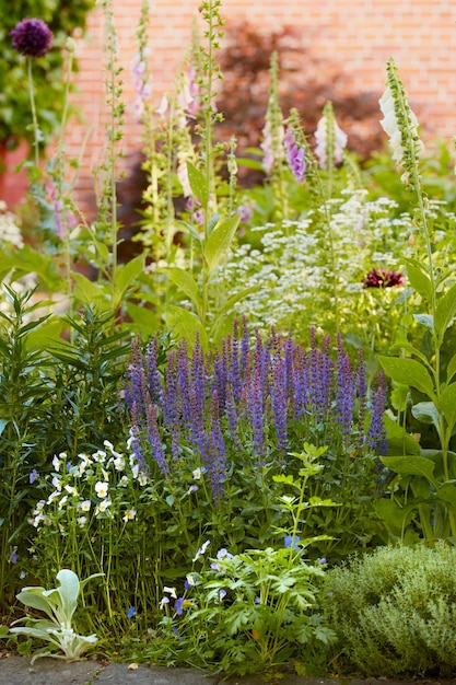 Bluebell lavender e foxgloves che crescono all'aperto fiori viola e bianchi in armonia con la natura piante selvatiche tranquille in un cortile zen tranquillo bellissimi fiori in un giardino verde in estate