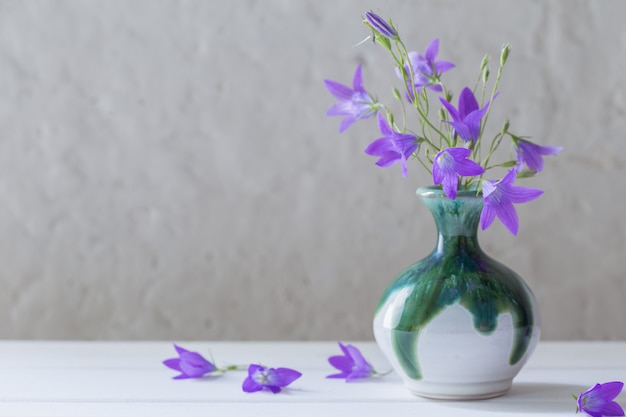 Bluebell in vase on white wall