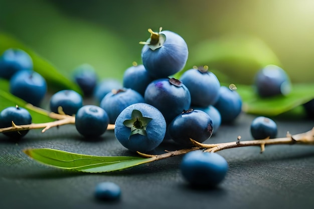 Blueberries are among the leaves of a tree.