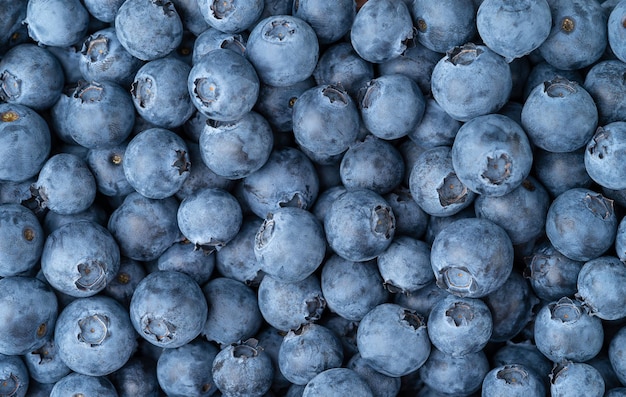 Blueberries background. Antioxidant foods, top view.