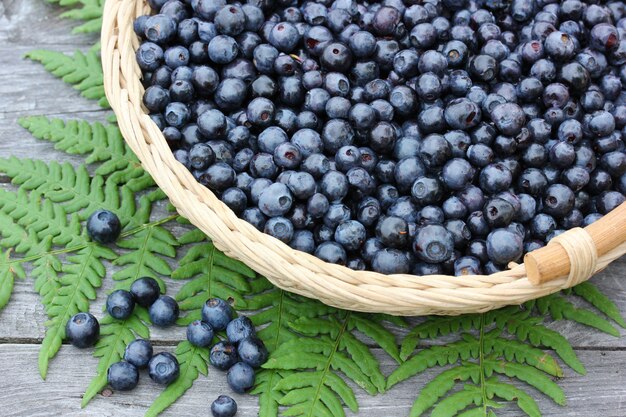 Blueberries in the basket and fern leaf on a wooden table, top view.