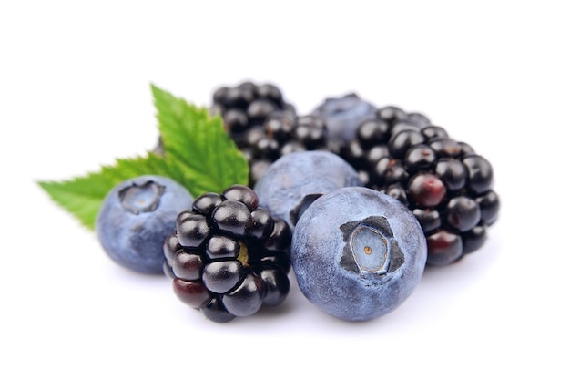 Blueberries and blackberry