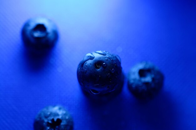 Photo blueberries on a blue background