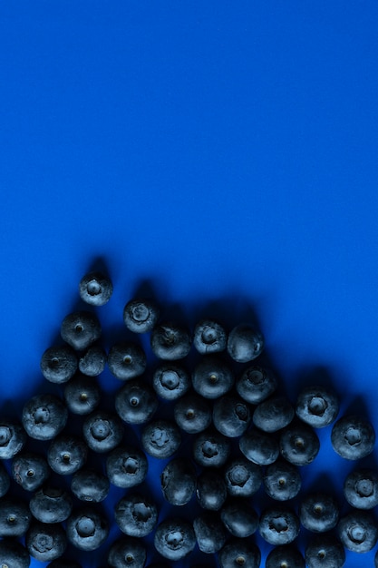 Blueberries on blue paper background, dark blue tones image