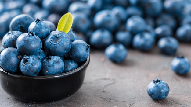 Blueberries in bowl copy space