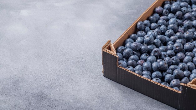 Blueberries in cardboard drawer, copy space