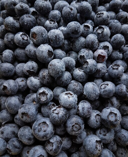 Blueberries Closeup Background