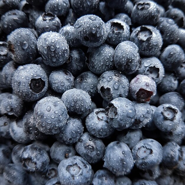 Blueberries Closeup Background