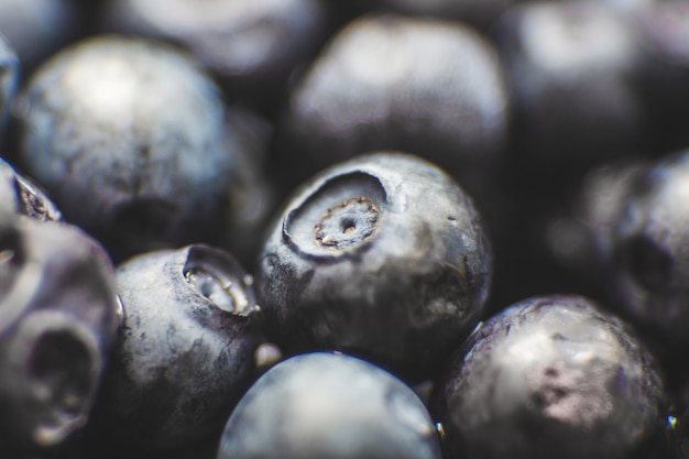 Blueberries closeup macro forest berry under a magnifying glass