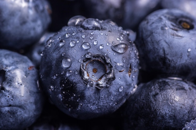 Blueberries closeup with a drop of water