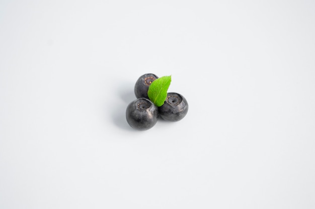 Blueberries on a colored background minimal style