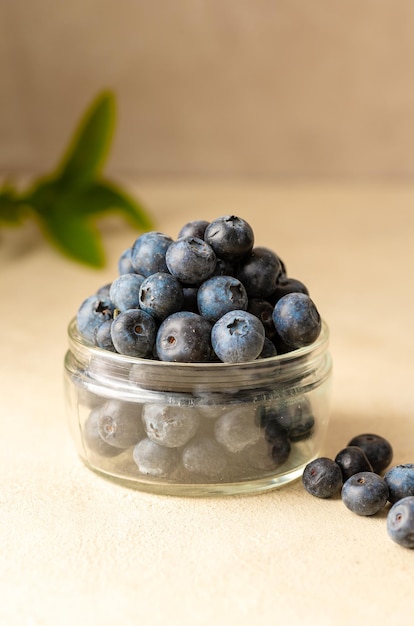 Blueberries fresh berry in glass bowl neutral background