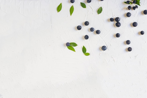 Blueberries and leaves