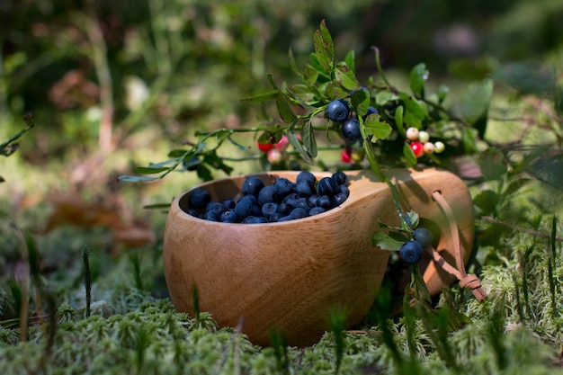 Blueberries and lingonberries in a wooden mug stands on a green fluffy moss The season of harvesting wild berries forest picture