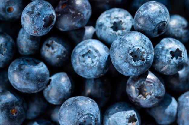 Blueberries macro fresh berry fruits