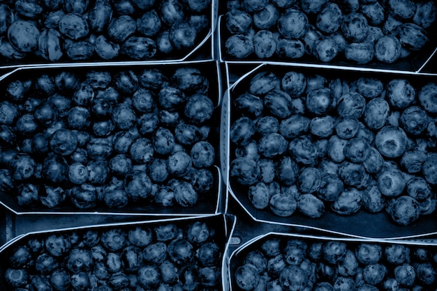 Blueberries in packs top view