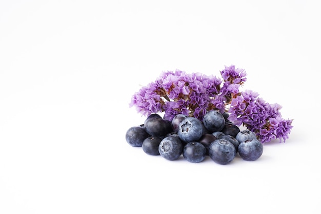 Mirtilli e fiori secchi viola su sfondo bianco