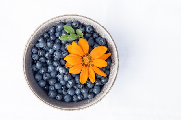 Blueberries in a small clay cup on a white background. Freshly picked berry in the forest.