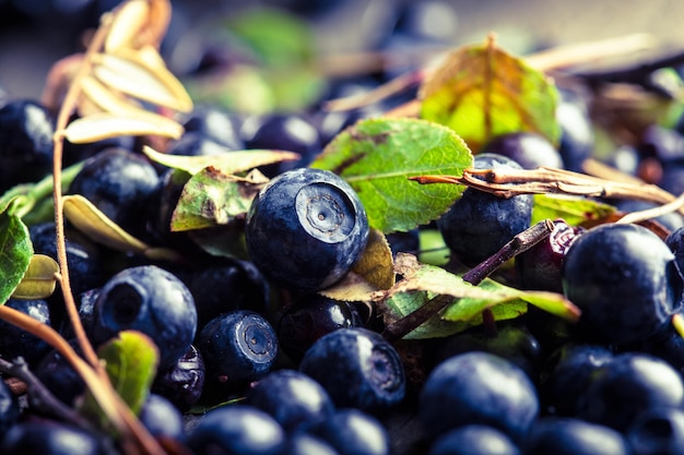 Blueberries on a table