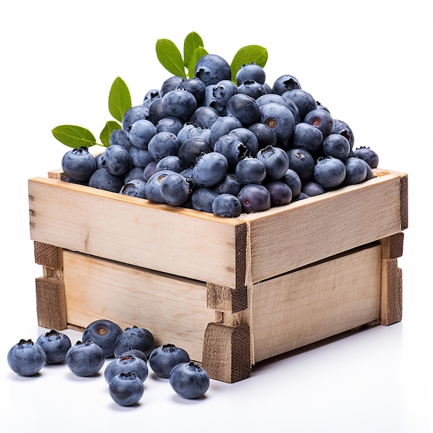 Blueberries on White Background