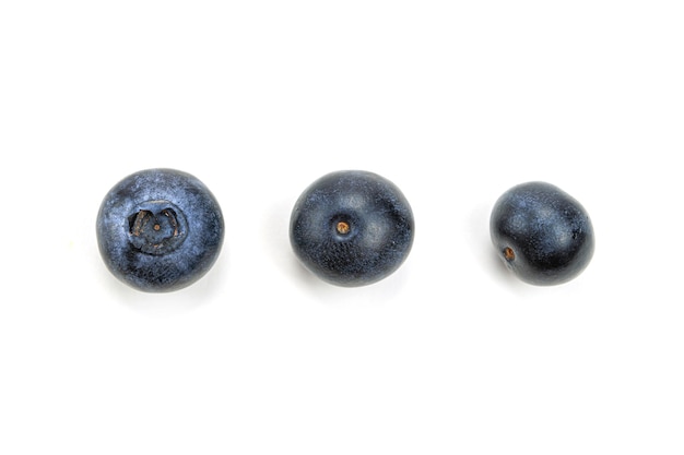 Blueberries on a white background