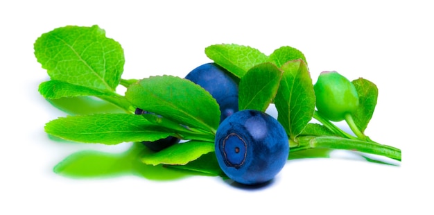 Blueberries with leaves isolated on white background.