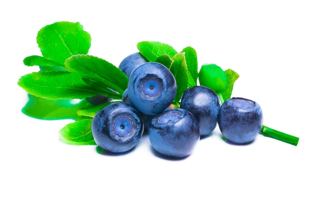 Blueberries with leaves isolated on white background.