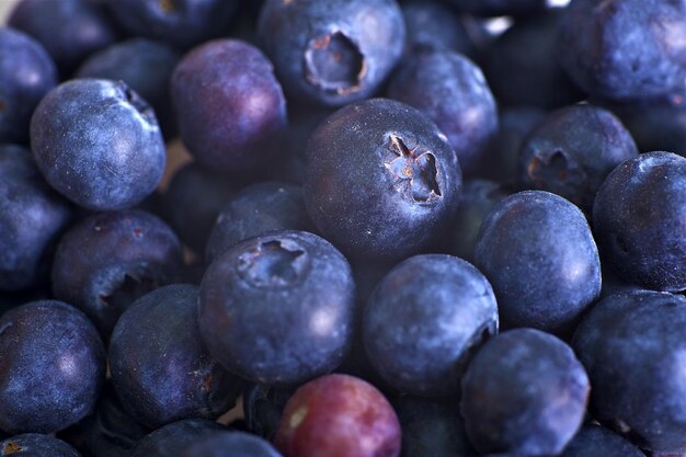 Blueberries