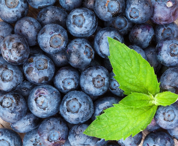 Blueberries