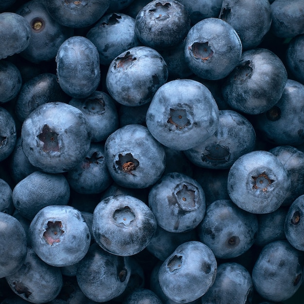 Blueberry achtergrond. Blauwe bes close-up.