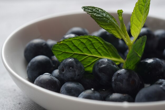 Blueberry antioxidant biologisch superfood in een kom