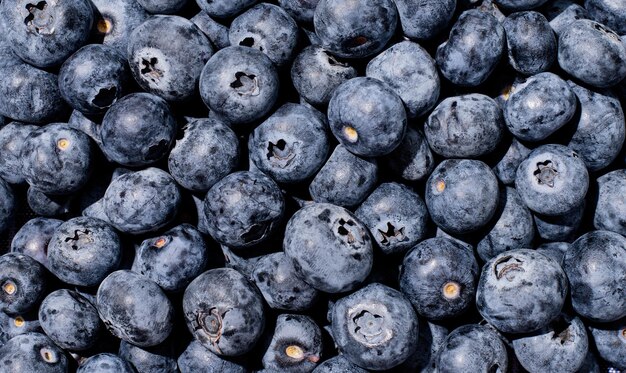 Blueberry background