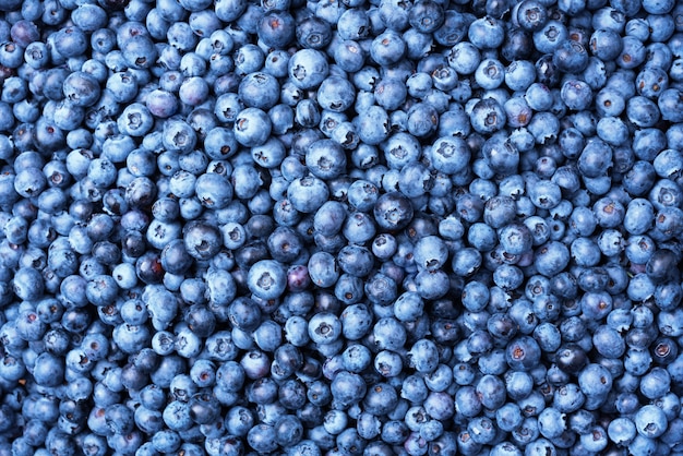 blueberry berries texture background