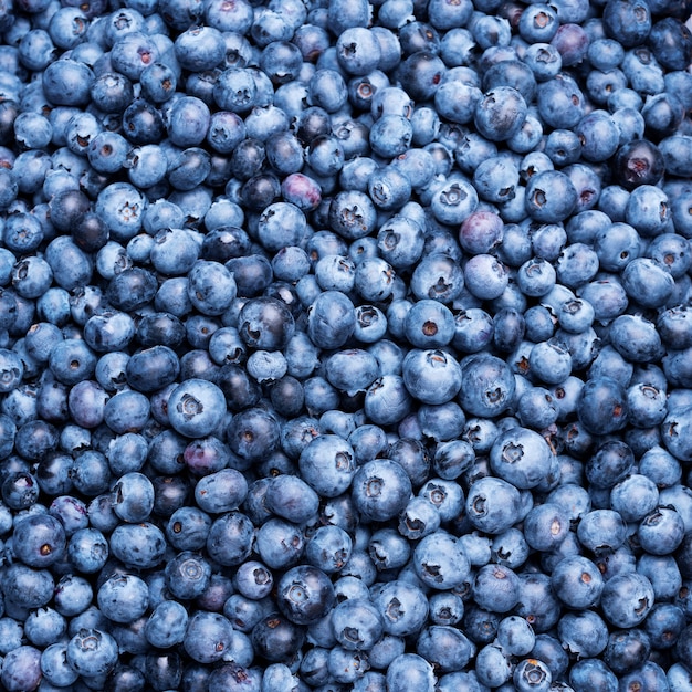 blueberry berries texture background