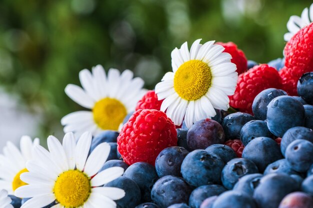 Blueberry bliss bursting with antioxidants juicy sweetness and the essence of healthy