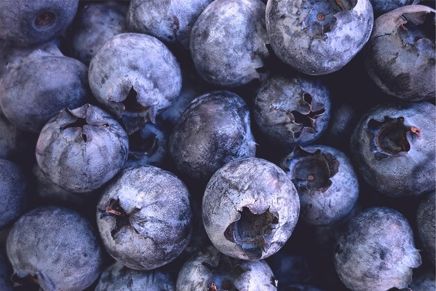 Blueberry close-up background.	
Selective focus