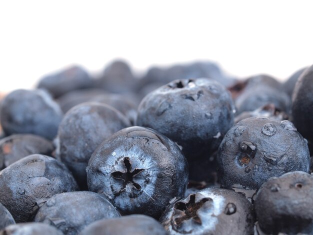 Blueberry fruit