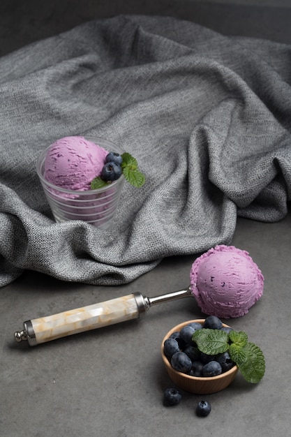 Blueberry icecream refreshment gelato diet sweet home made