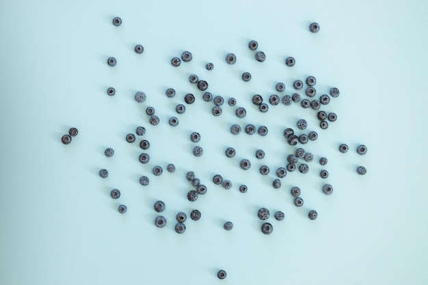 Blueberry isolated on blue background