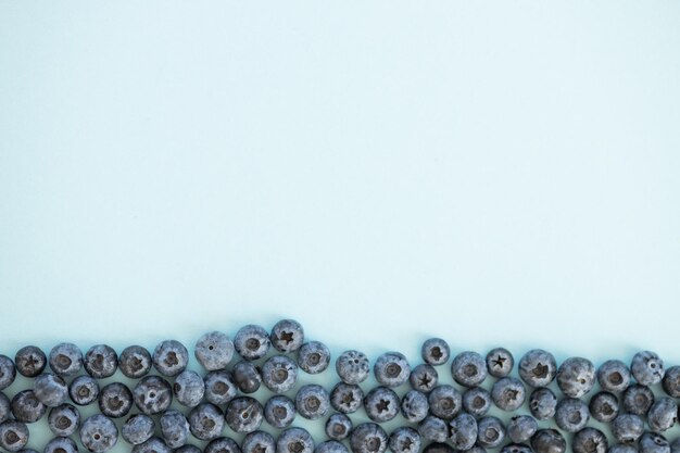 Blueberry isolated on blue background