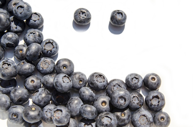 Blueberry isolated on a white background.