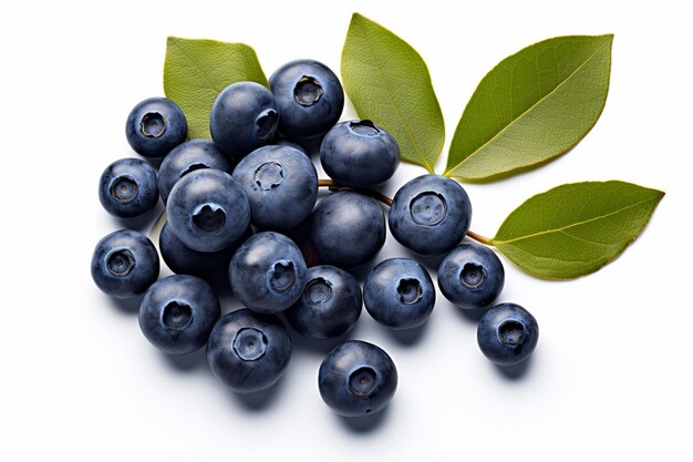 Blueberry and leaves isolated on alpha layer