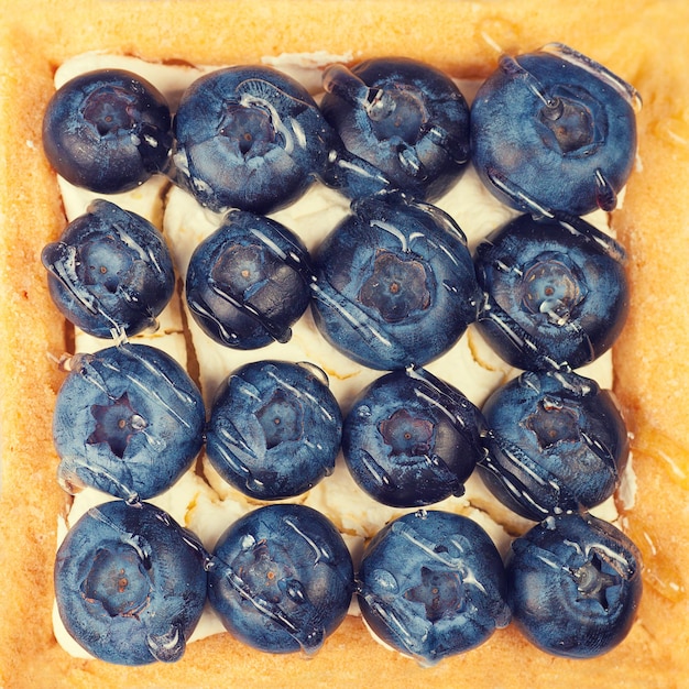 Blueberry shortcake