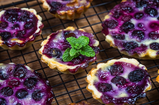 Blueberry tart, pie, tartlet with vanilla custard.